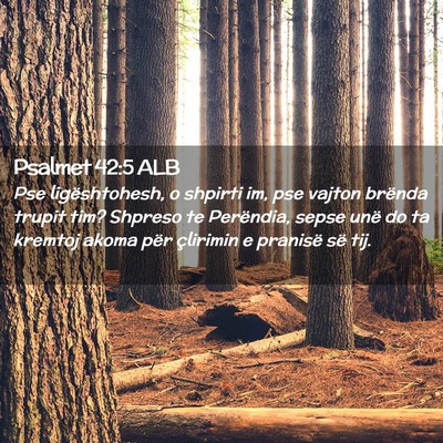 Picture 02 - Psalmet 42:5 ALB - Pse ligështohesh, o shpirti im, pse vajton - Bible Verse Picture