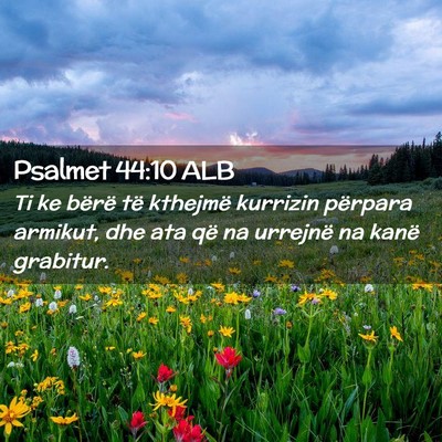 Picture 02 - Psalmet 44:10 ALB - Ti ke bërë të kthejmë kurrizin përpara - Bible Verse Picture