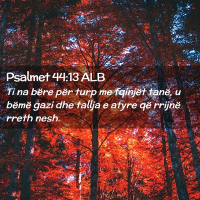 Picture 02 - Psalmet 44:13 ALB - Ti na bëre për turp me fqinjët tanë, u bëmë - Bible Verse Picture