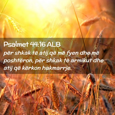 Picture 02 - Psalmet 44:16 ALB - për shkak të atij që më fyen dhe më - Bible Verse Picture