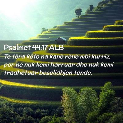 Picture 02 - Psalmet 44:17 ALB - Të tëra këto na kanë rënë mbi kurriz, por - Bible Verse Picture