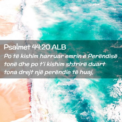 Picture 02 - Psalmet 44:20 ALB - Po të kishim harruar emrin e Perëndisë tonë - Bible Verse Picture