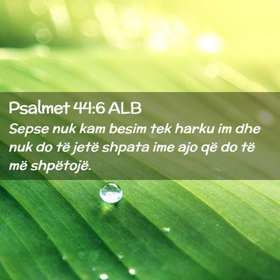 Picture 02 - Psalmet 44:6 ALB - Sepse nuk kam besim tek harku im dhe nuk do të - Bible Verse Picture