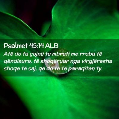 Picture 02 - Psalmet 45:14 ALB - Atë do ta çojnë te mbreti me rroba të - Bible Verse Picture