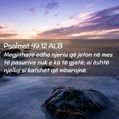 Picture 02 - Psalmet 49:12 ALB - Megjithatë edhe njeriu që jeton në mes të - Bible Verse Picture