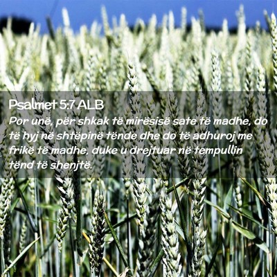 Picture 02 - Psalmet 5:7 ALB - Por unë, për shkak të mirësisë sate të - Bible Verse Picture