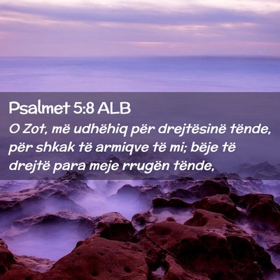 Picture 02 - Psalmet 5:8 ALB - O Zot, më udhëhiq për drejtësinë tënde, - Bible Verse Picture