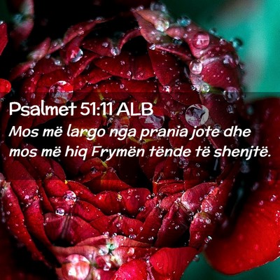 Picture 02 - Psalmet 51:11 ALB - Mos më largo nga prania jote dhe mos më hiq - Bible Verse Picture