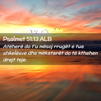 Picture 02 - Psalmet 51:13 ALB - Atëherë do t’u mësoj rrugët e tua - Bible Verse Picture