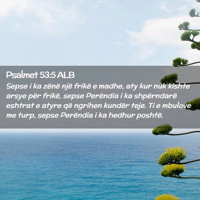 Picture 02 - Psalmet 53:5 ALB - Sepse i ka zënë një frikë e madhe, aty kur - Bible Verse Picture