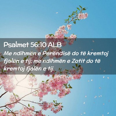 Picture 02 - Psalmet 56:10 ALB - Me ndihmën e Perëndisë do të kremtoj fjalën - Bible Verse Picture