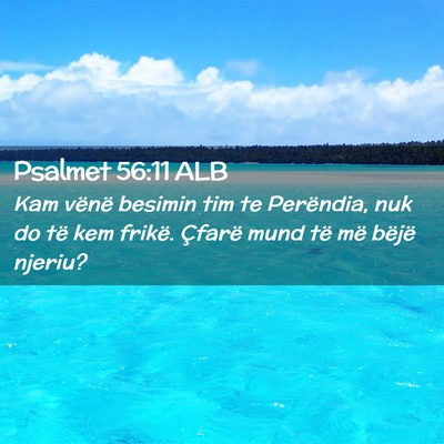 Picture 02 - Psalmet 56:11 ALB - Kam vënë besimin tim te Perëndia, nuk do të - Bible Verse Picture