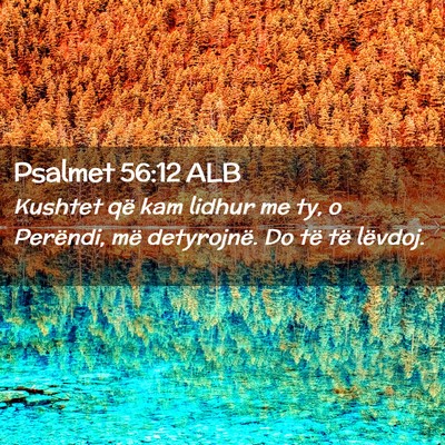 Picture 02 - Psalmet 56:12 ALB - Kushtet që kam lidhur me ty, o Perëndi, më - Bible Verse Picture