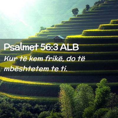 Picture 02 - Psalmet 56:3 ALB - Kur të kem frikë, do të mbështetem te - Bible Verse Picture