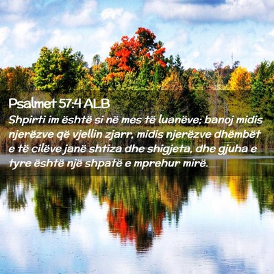 Picture 02 - Psalmet 57:4 ALB - Shpirti im është si në mes të luanëve; banoj - Bible Verse Picture