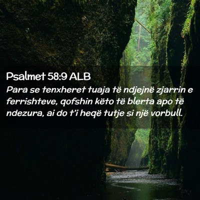 Picture 02 - Psalmet 58:9 ALB - Para se tenxheret tuaja të ndjejnë zjarrin e - Bible Verse Picture