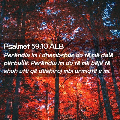 Picture 02 - Psalmet 59:10 ALB - Perëndia im i dhembshur do të më dalë - Bible Verse Picture