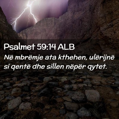 Picture 02 - Psalmet 59:14 ALB - Në mbrëmje ata kthehen, ulërijnë si qentë - Bible Verse Picture