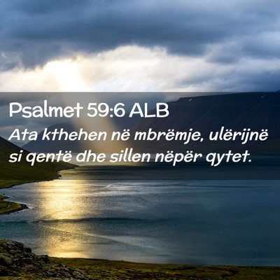 Picture 02 - Psalmet 59:6 ALB - Ata kthehen në mbrëmje, ulërijnë si qentë - Bible Verse Picture