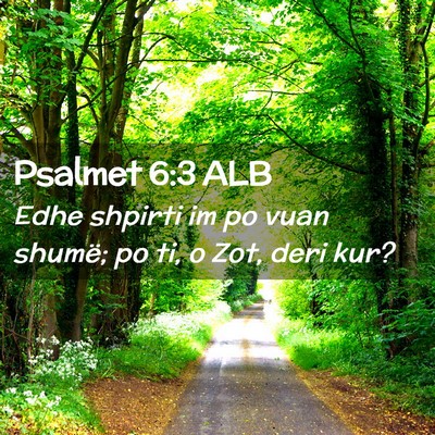 Picture 02 - Psalmet 6:3 ALB - Edhe shpirti im po vuan shumë; po ti, o Zot, - Bible Verse Picture