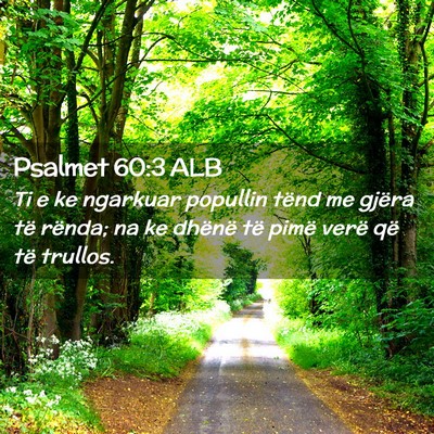 Picture 02 - Psalmet 60:3 ALB - Ti e ke ngarkuar popullin tënd me gjëra të - Bible Verse Picture