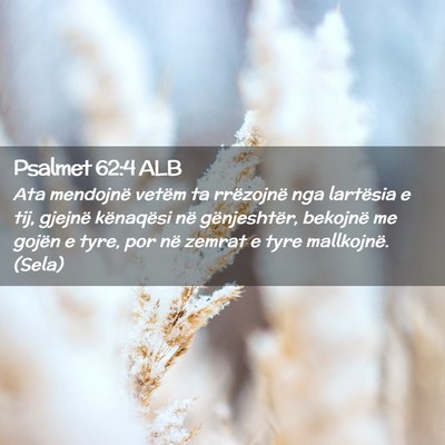 Picture 02 - Psalmet 62:4 ALB - Ata mendojnë vetëm ta rrëzojnë nga lartësia - Bible Verse Picture