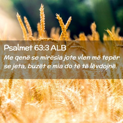 Picture 02 - Psalmet 63:3 ALB - Me qenë se mirësia jote vlen më tepër se - Bible Verse Picture