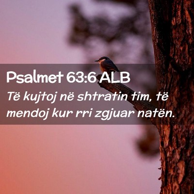 Picture 02 - Psalmet 63:6 ALB - Të kujtoj në shtratin tim, të mendoj kur rri - Bible Verse Picture