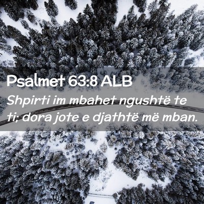 Picture 02 - Psalmet 63:8 ALB - Shpirti im mbahet ngushtë te ti; dora jote e - Bible Verse Picture