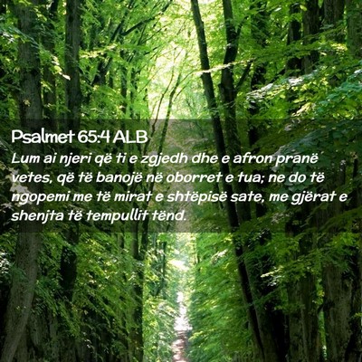 Picture 02 - Psalmet 65:4 ALB - Lum ai njeri që ti e zgjedh dhe e afron pranë - Bible Verse Picture