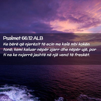 Picture 02 - Psalmet 66:12 ALB - Ke bërë që njerëzit të ecin me kalë mbi - Bible Verse Picture