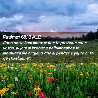 Picture 02 - Psalmet 68:13 ALB - Edhe në se keni mbetur për të pushuar ndër - Bible Verse Picture