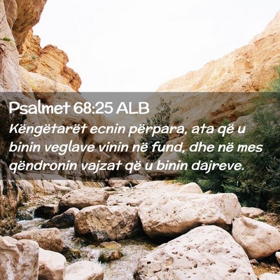 Picture 02 - Psalmet 68:25 ALB - Këngëtarët ecnin përpara, ata që u binin - Bible Verse Picture