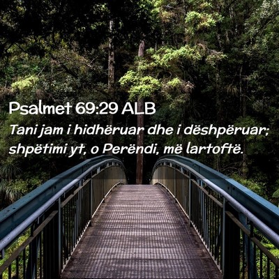 Picture 02 - Psalmet 69:29 ALB - Tani jam i hidhëruar dhe i dëshpëruar; - Bible Verse Picture