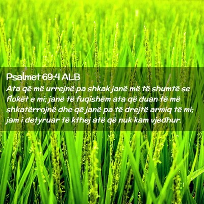 Picture 02 - Psalmet 69:4 ALB - Ata që më urrejnë pa shkak janë më të - Bible Verse Picture