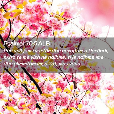 Picture 02 - Psalmet 70:5 ALB - Por unë jam i varfër dhe nevojtar; o Perëndi, - Bible Verse Picture