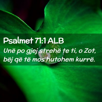 Picture 02 - Psalmet 71:1 ALB - Unë po gjej strehë te ti, o Zot, bëj që të - Bible Verse Picture