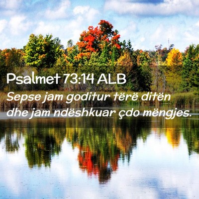 Picture 02 - Psalmet 73:14 ALB - Sepse jam goditur tërë ditën dhe jam - Bible Verse Picture