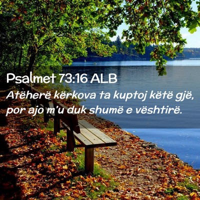 Picture 02 - Psalmet 73:16 ALB - Atëherë kërkova ta kuptoj këtë gjë, por ajo - Bible Verse Picture