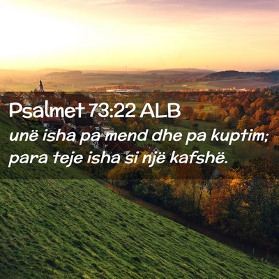 Picture 02 - Psalmet 73:22 ALB - unë isha pa mend dhe pa kuptim; para teje isha - Bible Verse Picture
