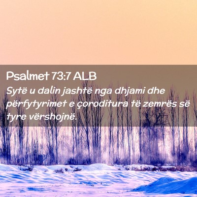 Picture 02 - Psalmet 73:7 ALB - Sytë u dalin jashtë nga dhjami dhe - Bible Verse Picture
