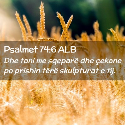 Picture 02 - Psalmet 74:6 ALB - Dhe tani me sqeparë dhe çekane po prishin - Bible Verse Picture
