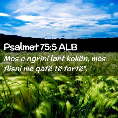 Picture 02 - Psalmet 75:5 ALB - Mos e ngrini lart kokën, mos flisni me qafë të - Bible Verse Picture