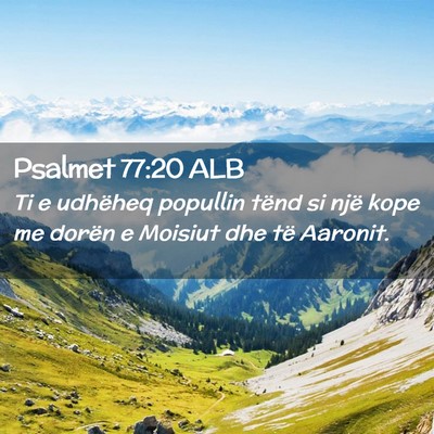 Picture 02 - Psalmet 77:20 ALB - Ti e udhëheq popullin tënd si një kope me - Bible Verse Picture
