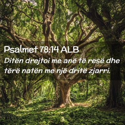 Picture 02 - Psalmet 78:14 ALB - Ditën drejtoi me anë të resë dhe tërë - Bible Verse Picture