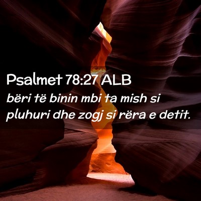Picture 02 - Psalmet 78:27 ALB - bëri të binin mbi ta mish si pluhuri dhe zogj - Bible Verse Picture