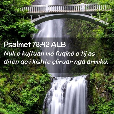 Picture 02 - Psalmet 78:42 ALB - Nuk e kujtuan më fuqinë e tij as ditën që i - Bible Verse Picture