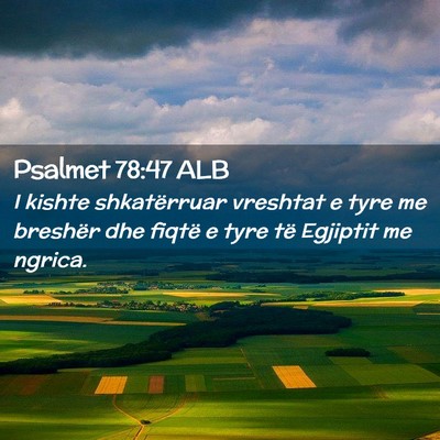 Picture 02 - Psalmet 78:47 ALB - I kishte shkatërruar vreshtat e tyre me breshër - Bible Verse Picture