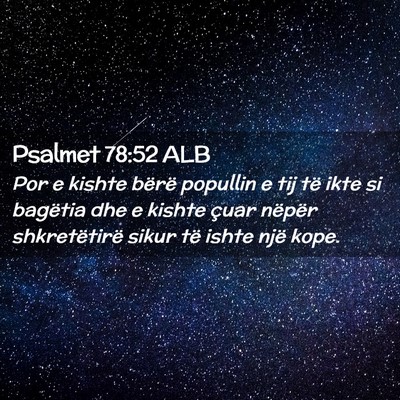 Picture 02 - Psalmet 78:52 ALB - Por e kishte bërë popullin e tij të ikte si - Bible Verse Picture