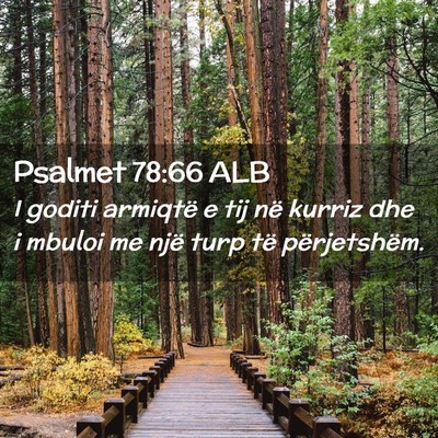 Picture 02 - Psalmet 78:66 ALB - I goditi armiqtë e tij në kurriz dhe i mbuloi - Bible Verse Picture